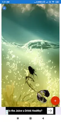 Mermaid HD Wallpapers android App screenshot 0